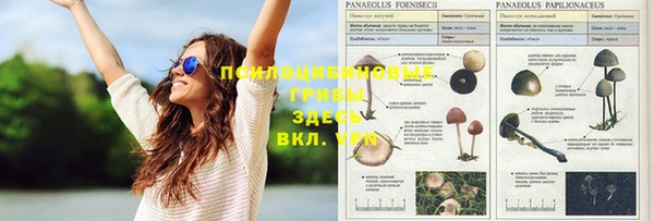 мяу мяу кристалл Дедовск