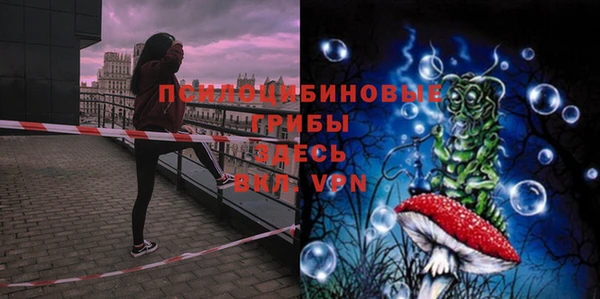 spice Новозыбков