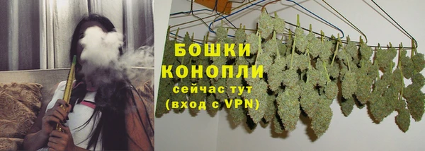 spice Новозыбков
